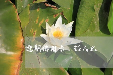 逾期信用卡 抓人么